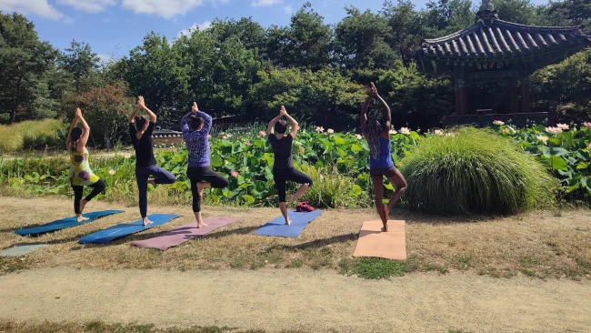 Yoga au Parc du Grand Blottereau à Nantes